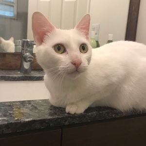 Meet your Posher, Gail